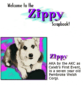 Zippy’s second web page