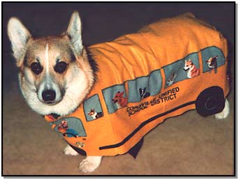 Zippy's Halloween costume