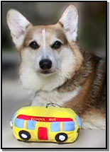 Zippy and his toy school bus