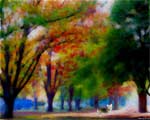Color Park screenshot