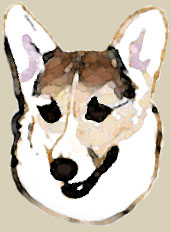 Art piece of Corgi titled 'Zippy Painted'
