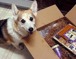 Zippy on the floor with a box of goodies