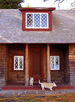 A corgi and a corgi-cross on a cabin's porch