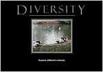 Diversity